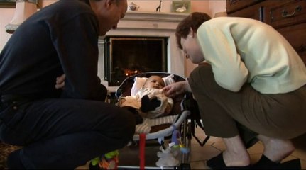 TEASER GRANDS PARENTS