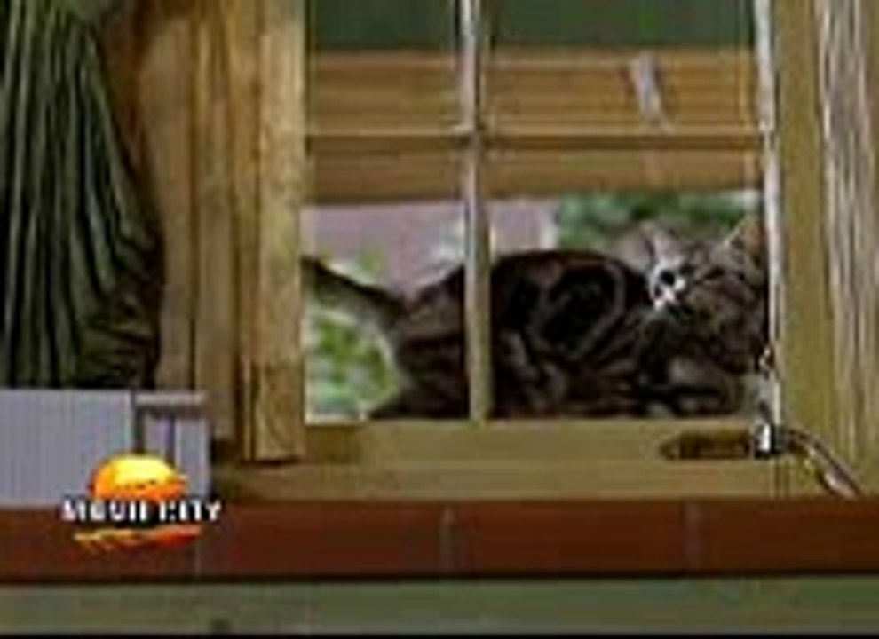 Cat.3gp