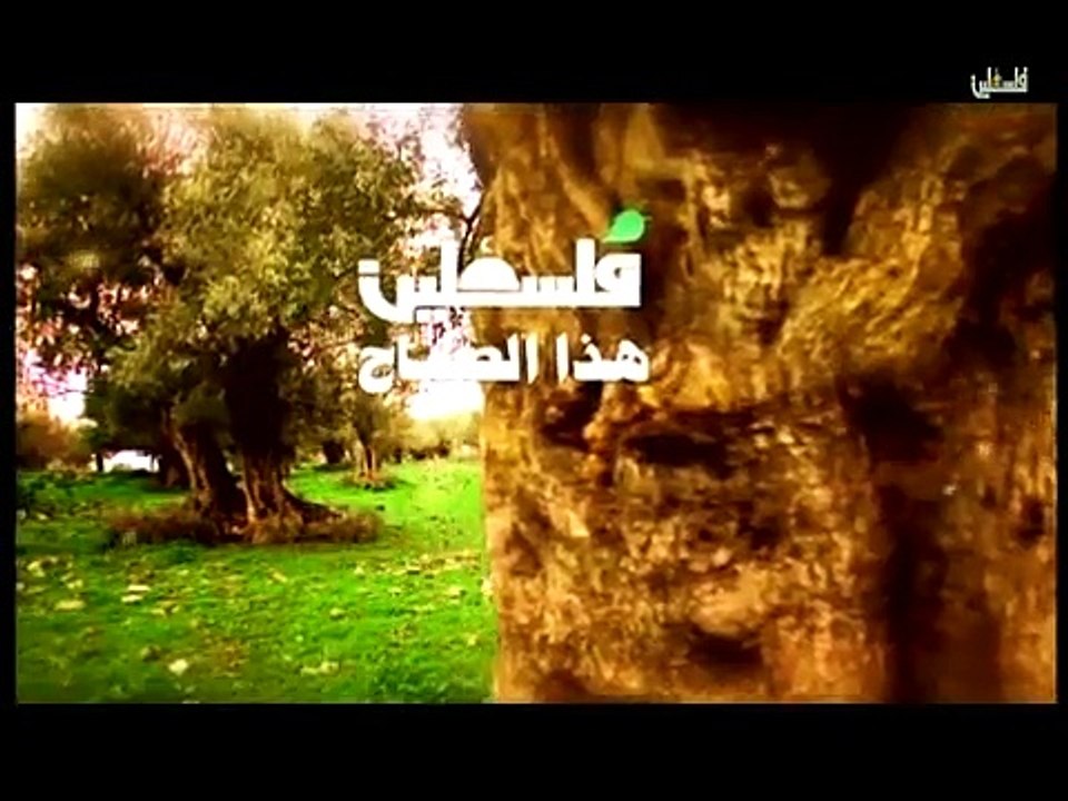 هذا الصباح الثلاثاء 24-2- 2015ج1