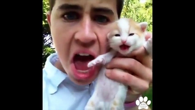 Best Pet and Animal Vines 2015 Compilation of Funny and Awesome Pet Vines!