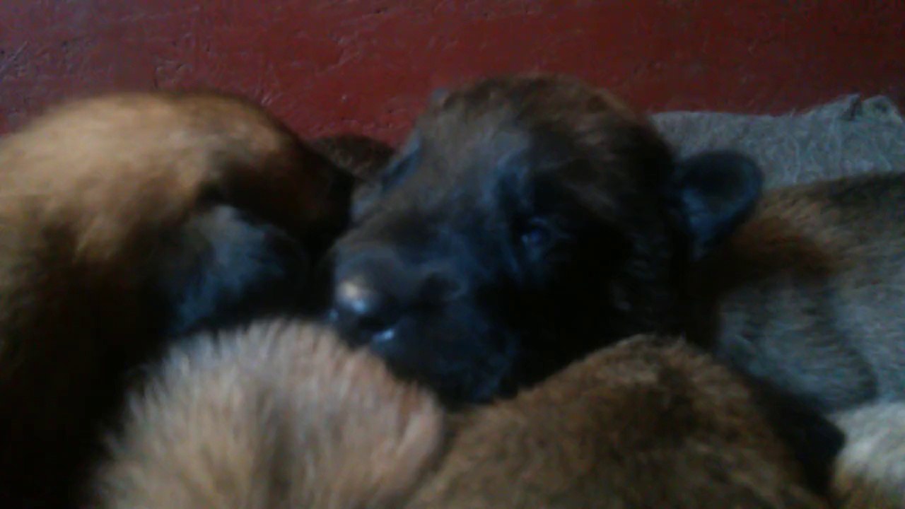 Be Aware H's @ Das große Krabbeln - Teil 3