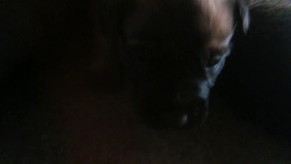 Be Aware H's @ Good Morning - Part 3