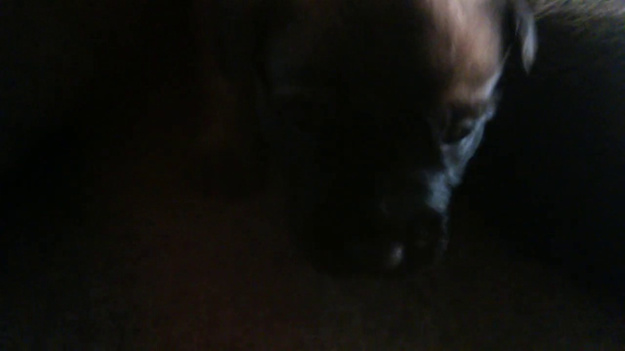 Be Aware H's @ Good Morning - Part 3