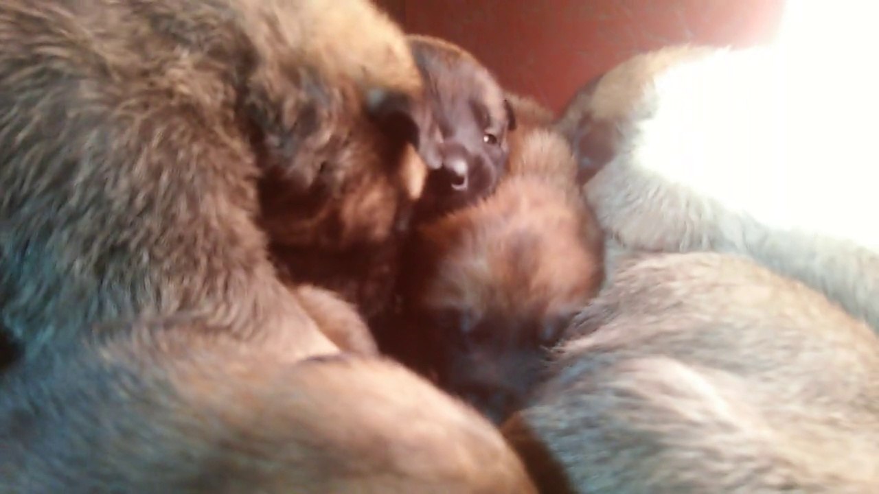 Be Aware H's @ Good Morning - Part 4