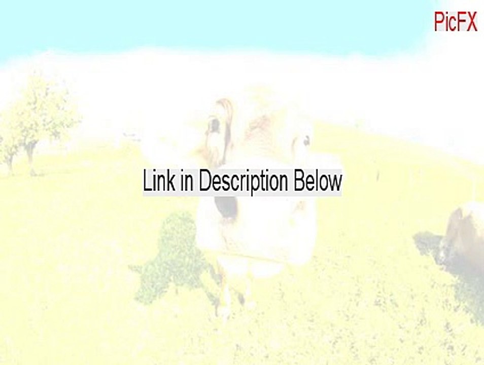 PicFX Key Gen - Legit Download 2015