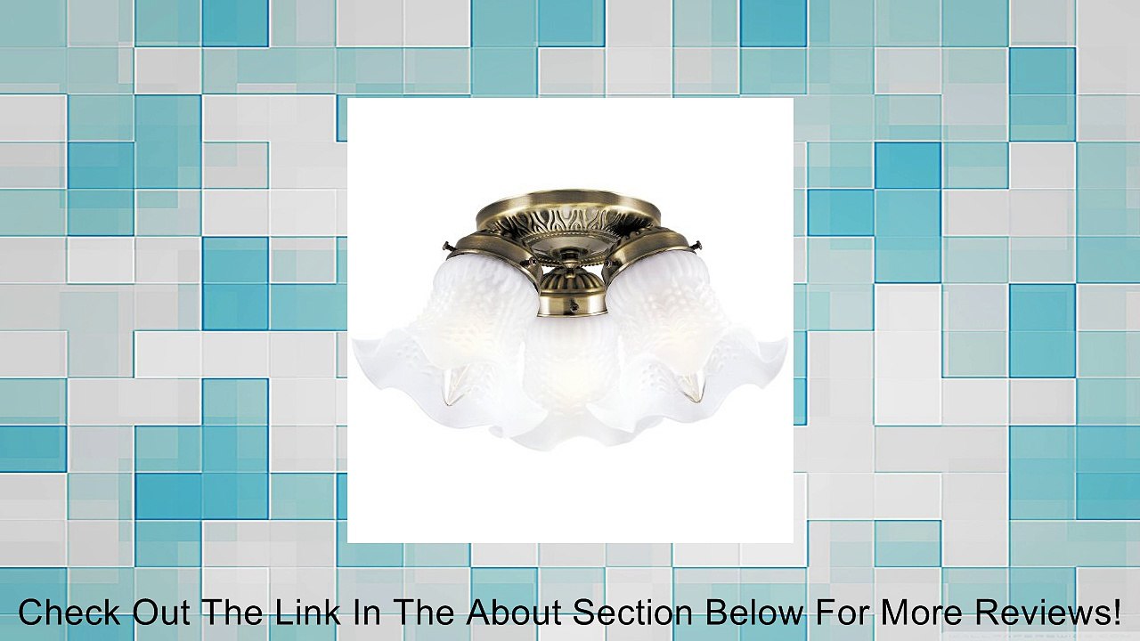 Three-Light Interior Flush-Mount Ceiling Fixture; 66686 Review
