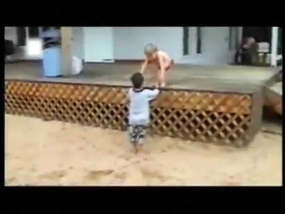 Haroon Mahmood – Shows Funny Animal video Clip
