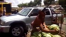 Amazing Seller Catches Watermelons on his Elbows - Продавец ловкач ловит арбуз !