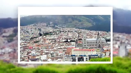 قرنان على ماركة برينغل أوف سكوتلند | يوروماكس