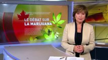 Reportage sur le cannabis au Canada et au Colorado (FR)