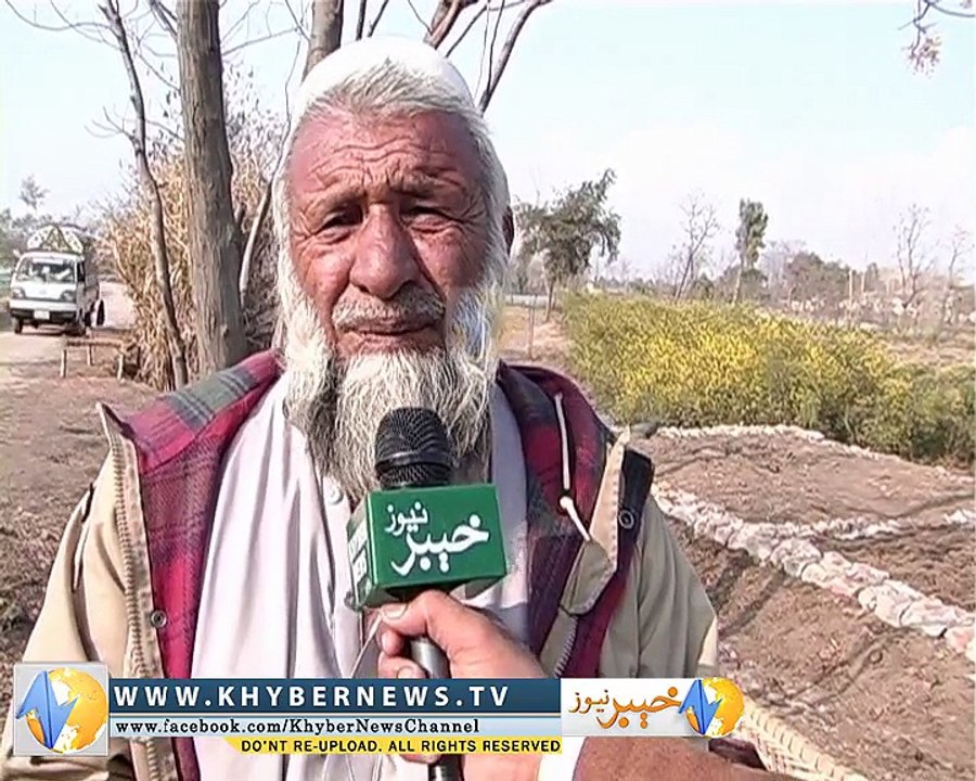 Kohat Jarma Report