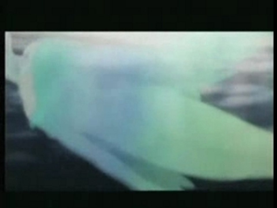 Linda clip