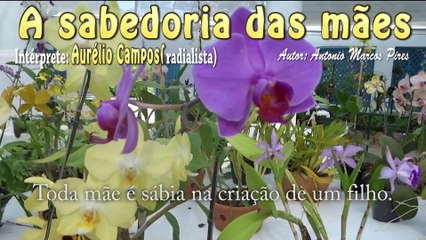 A SABEDORIA DAS MÃES (MENSAGEM) - INTÉRPRETE: AURÉLIO CAMPOS