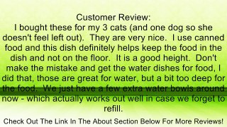 Petstages Easy Meal Cat Dish Review