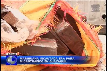 Decomisaron 66 kilos de marihuana en Guayaquil