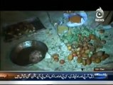 This is Pakistan- Chohon (Rats) Ka Qeema Samooson Aur Rolls Mein Daal Kar Awaam Ko Khilate Rahe