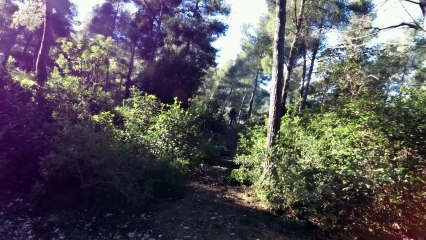 Petit comité dans le domaine de Marseilleveyre.