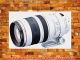 Canon EF T?l?objectif Zoom 100 / 400 mm f/4.5-5.6 L IS USM