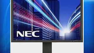 NEC PA242W-BK Ecran PC 29.8 340 cd/m? 16:10