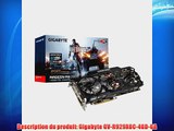 Gigabyte R929XOC-4GD-GA Carte Graphique ATI Radeon R9 290X 1040 MHz 4096 Mo PCI-Express 3.0