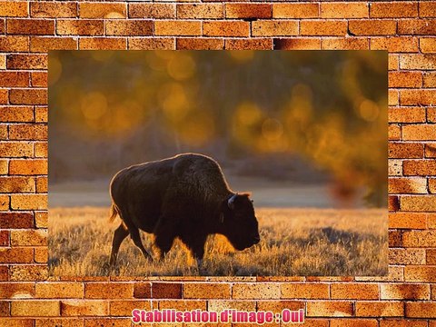 Tamron Objectif SP 150-600 mm F/5-63 Di VC USD Noir - Monture Canon