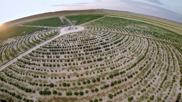 Des cannabinoïdes pour soigner l'épilepsie chez les enfants (STFR)