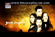 Chup Raho Episode 26 Part 1/2 On Ary Digital 24th February 2015