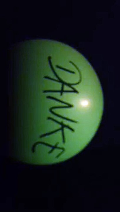 Fan action globos concierto de Barcelona Tokio Hotel 08.03.2015
