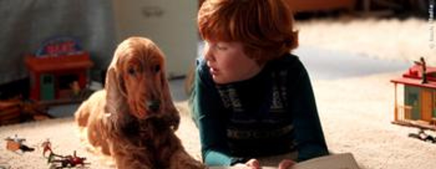 Boule und bill trailer (deutsch)