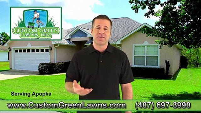 Apopka Pest Control | 407-697-3990 | Apopka Termite Control | Pest Control Apopka