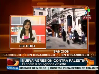 Fallo de EE.UU. es una injusticia contra Palestina: experto