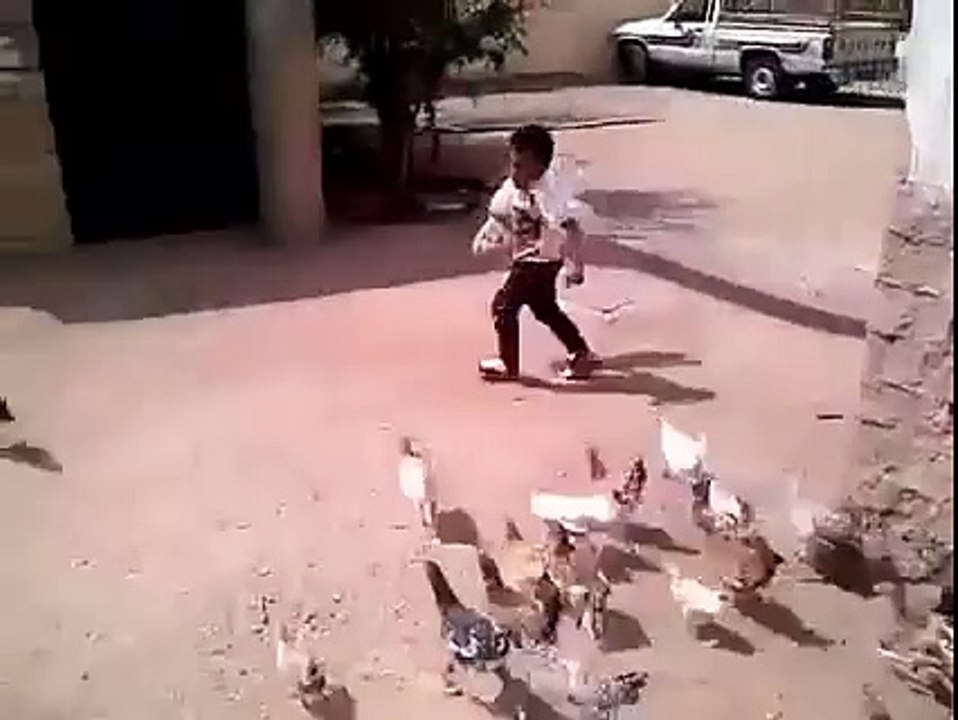 Hens Run For Food