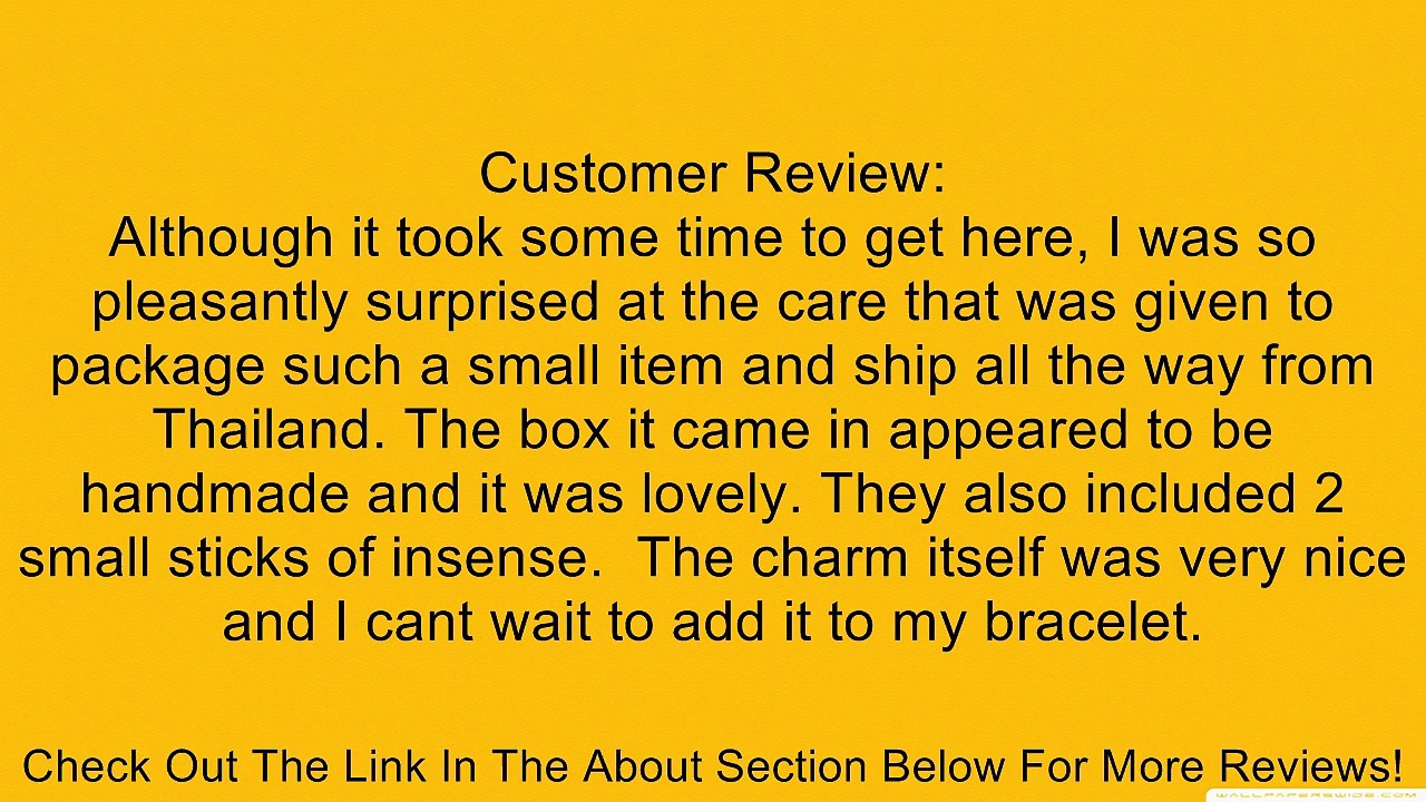 3D Bible Charm with Lobster Clasp, Sterling Silver 925, for Charms Bracelet, Necklace (E7482) Review