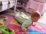 Videos   Baby and Dog Funny | Cute Dogs And Adorable Babies | Best Babies and Animals Compilation