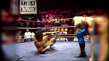 Paige And Emma Vs The Bella Twins