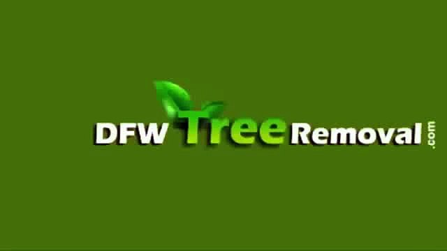 Dallas Tree Trimming | 214-556-5079 | Tree Trimming Dallas Texas