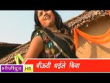 HD छोटकी धरइल बिया | Chhotki Dhariel Biya -  holiya me dhali mahabodhi - Bhojpuri hot Songs 2014
