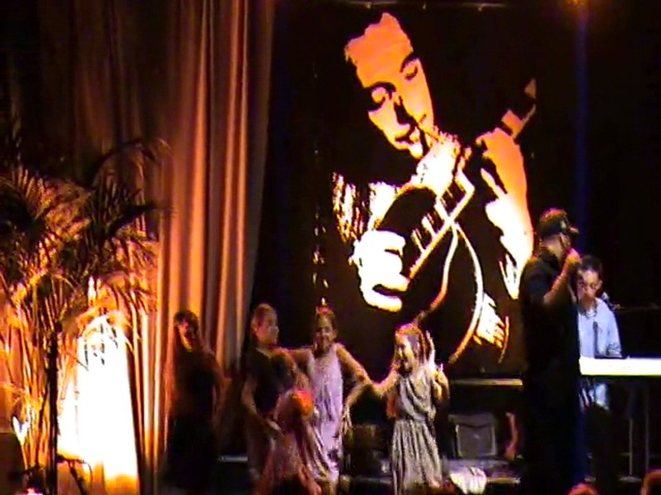 14. Django Reinhardt Fetival 2014