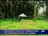 Pistas clandestinas usadas para narcotráfico serán destruidas