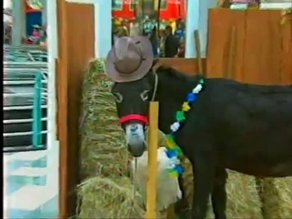Rabo no Burro