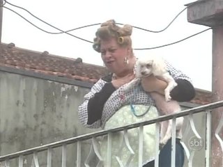 Cachorro Faz Xixi Da Calçada