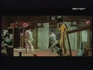 bruse lee the real fighting the game of death