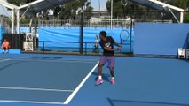Tennis - Coupe Davis : Monfils dans l'équipe
