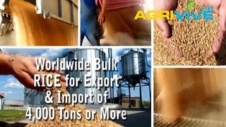 Buy Wholesale Rice, Wholesale Rice, Wholesale Rice, Wholesale Rice, Wholesale Rice