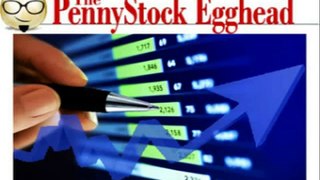 The Penny Stock Egghead + GET SPECIAL DISCOUNT + BONUS