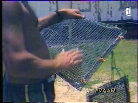 DEBAT SUR LA PERLE - Archives Polynésie 1ère