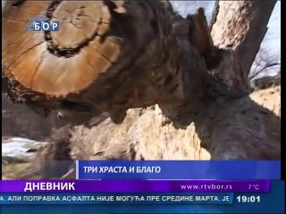 Dnevnik, 24. februar 2015. (RTV Bor)