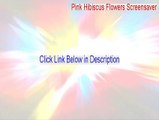 Pink Hibiscus Flowers Screensaver Key Gen [Pink Hibiscus Flowers Screensaver]