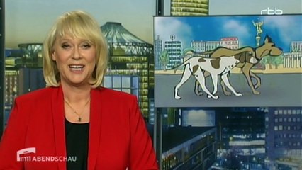 Abendschau-Serie Pro & Contra Hundestadt Berlin | Abendschau vom 24. Februar 2015