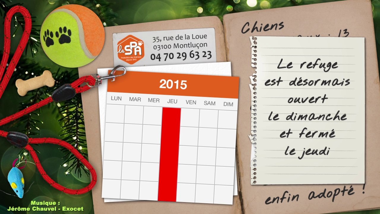 Un mois au refuge : janvier 2015